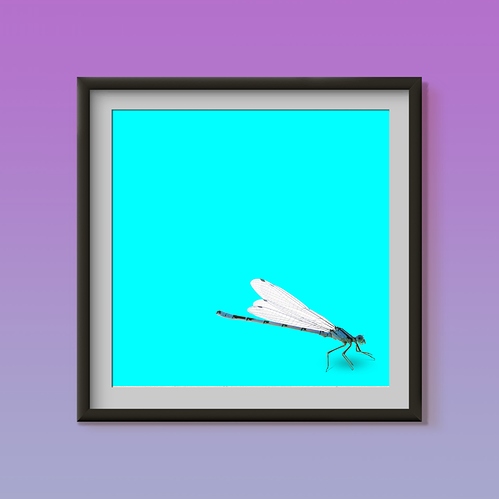 l%C3%A6r%20meg%20%C3%A5%20danse