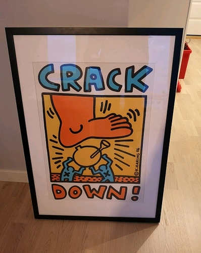 IMG_20181215_154656-2052x2736_crop_481x603