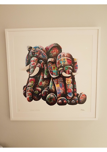 elephunkt%20in%20the%20wild-page-001