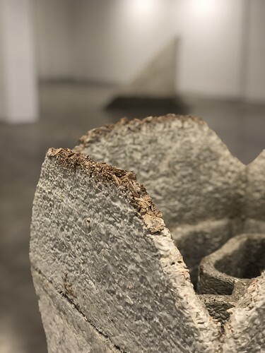 Bilde 26.01.2021, 15 51 19