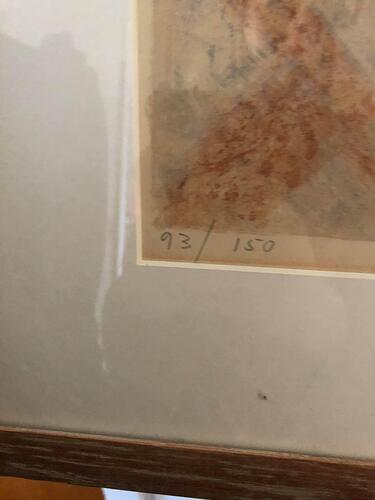 177946635_274720187730382_2164928065916539034_n