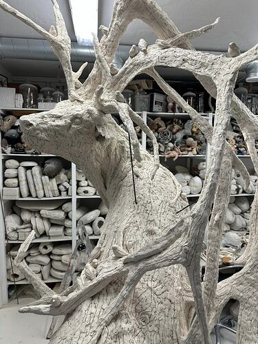 429854207_10161327977532369_3516056123285235702_n