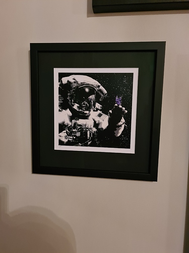 16046090435355275702250756187221