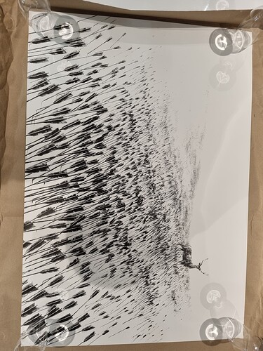20220215_160421