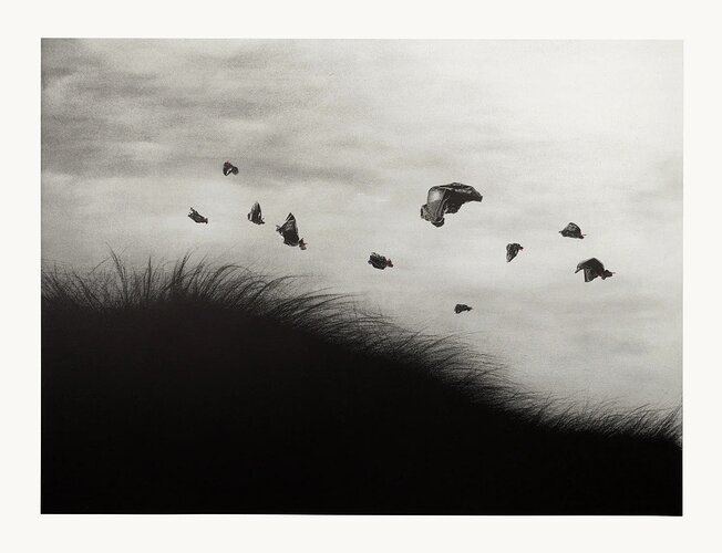 Murmure Street - Soaring