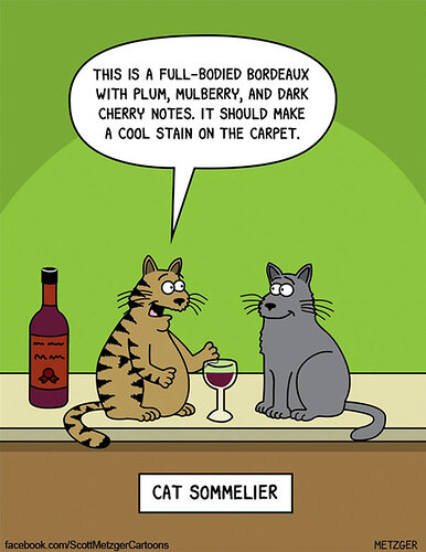 funny-cat-comics-scott-metzger-cartoons-107-5b0eb26616281__605