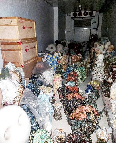 Screenshot_20210706-005922_Instagram