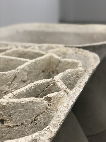 Bilde 26.01.2021, 15 50 01