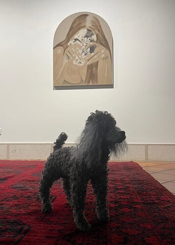 Skjermbilde 2024-09-16 kl. 10.04.29